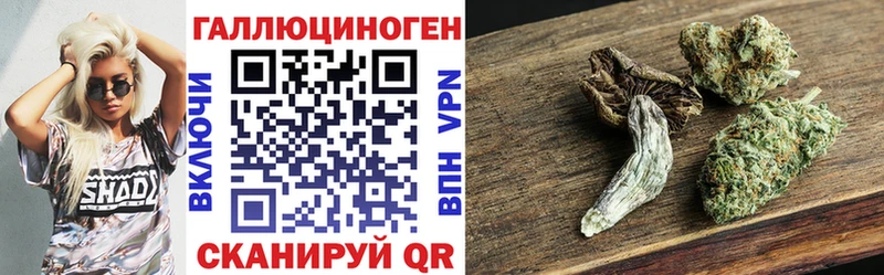 Галлюциногенные грибы Psilocybine cubensis  Краснокамск 